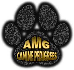 AMG Canine Pedigrees